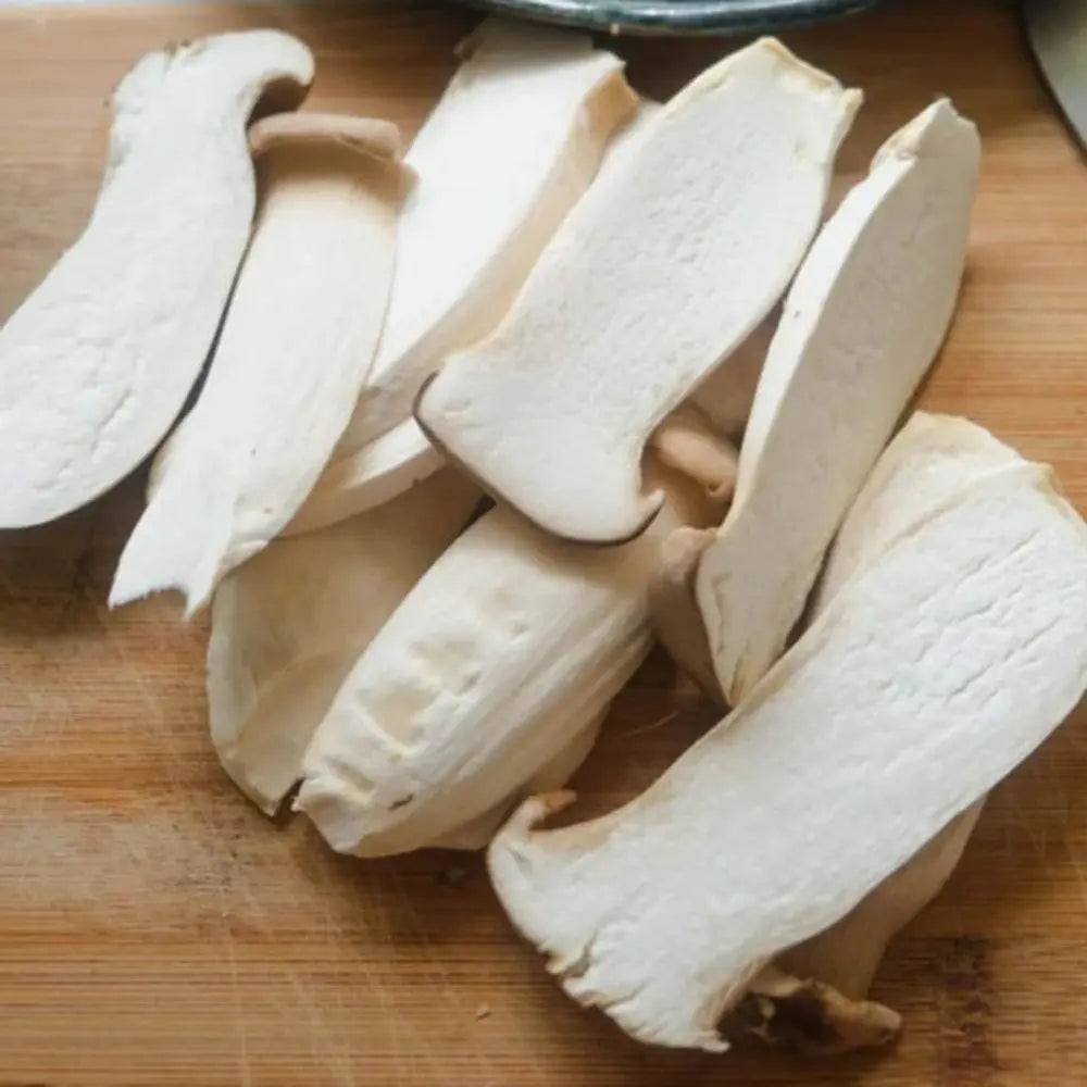 Korean Oyster Mushroom.  Mycotopia